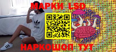 эйфоретик Аргун