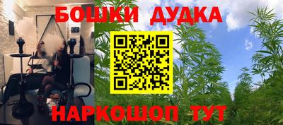 эйфоретик Аргун